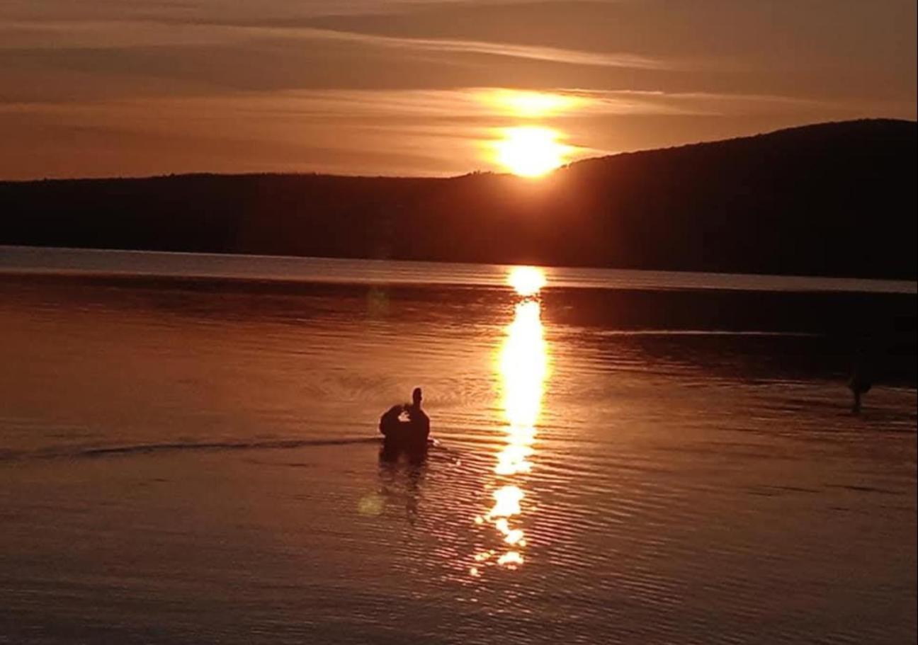 Dolce Lago Trevignano Romano Esterno foto